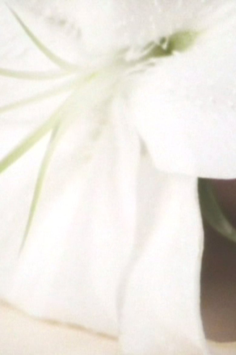 Poster of Lily in the Glass