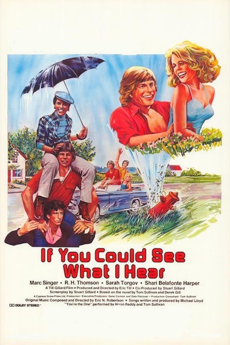 Poster of If You Could See What I Hear