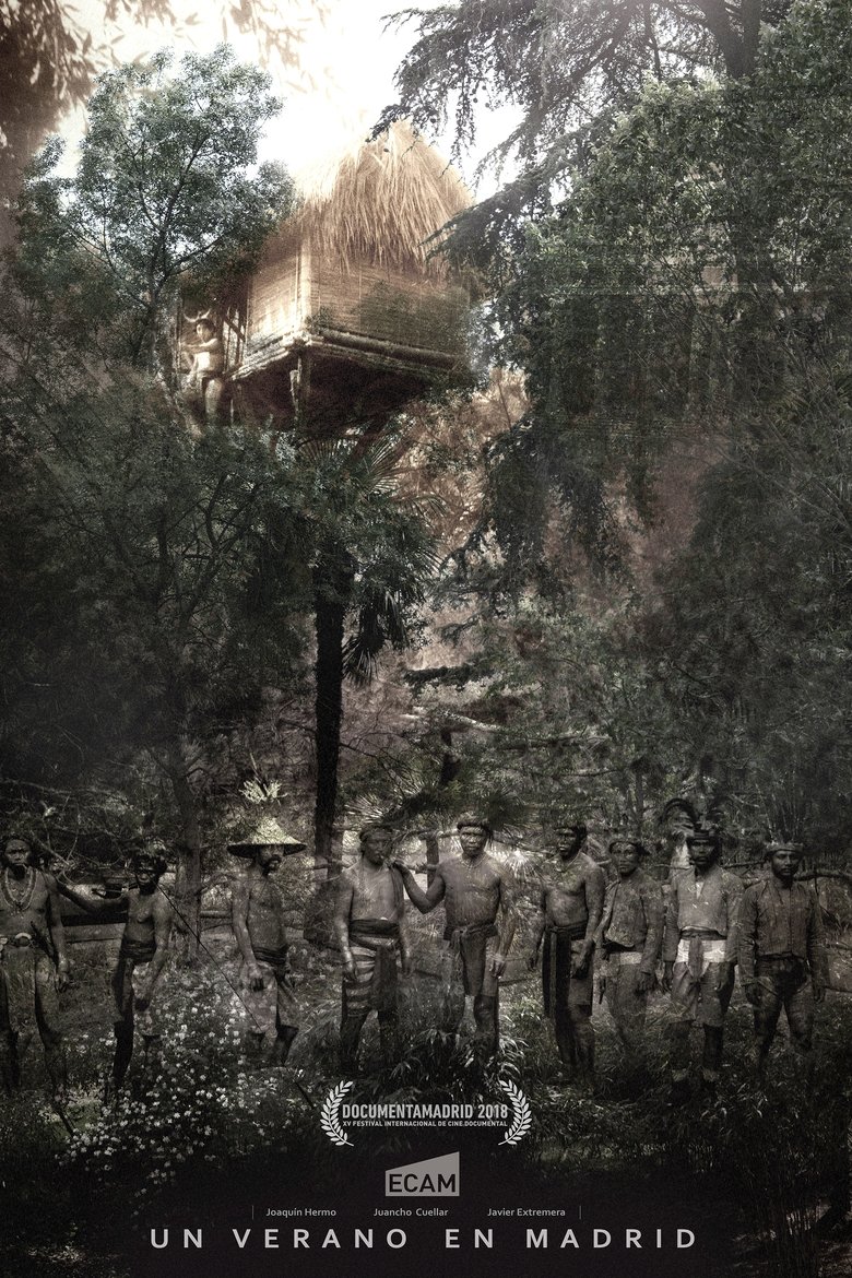 Poster of A Summer in Madrid