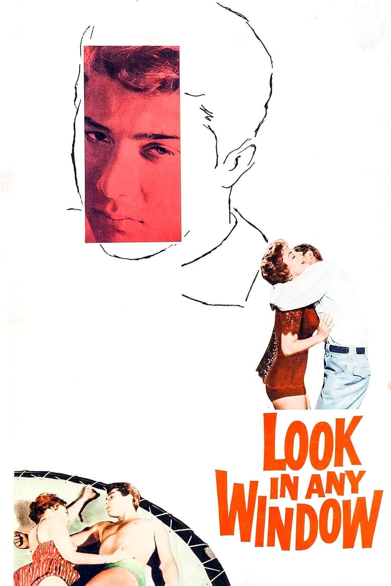 Poster of Look in Any Window