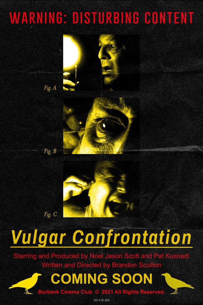 Poster of Vulgar Confrontation