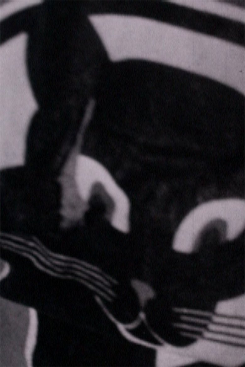 Poster of The Intellectuals Strike Back
