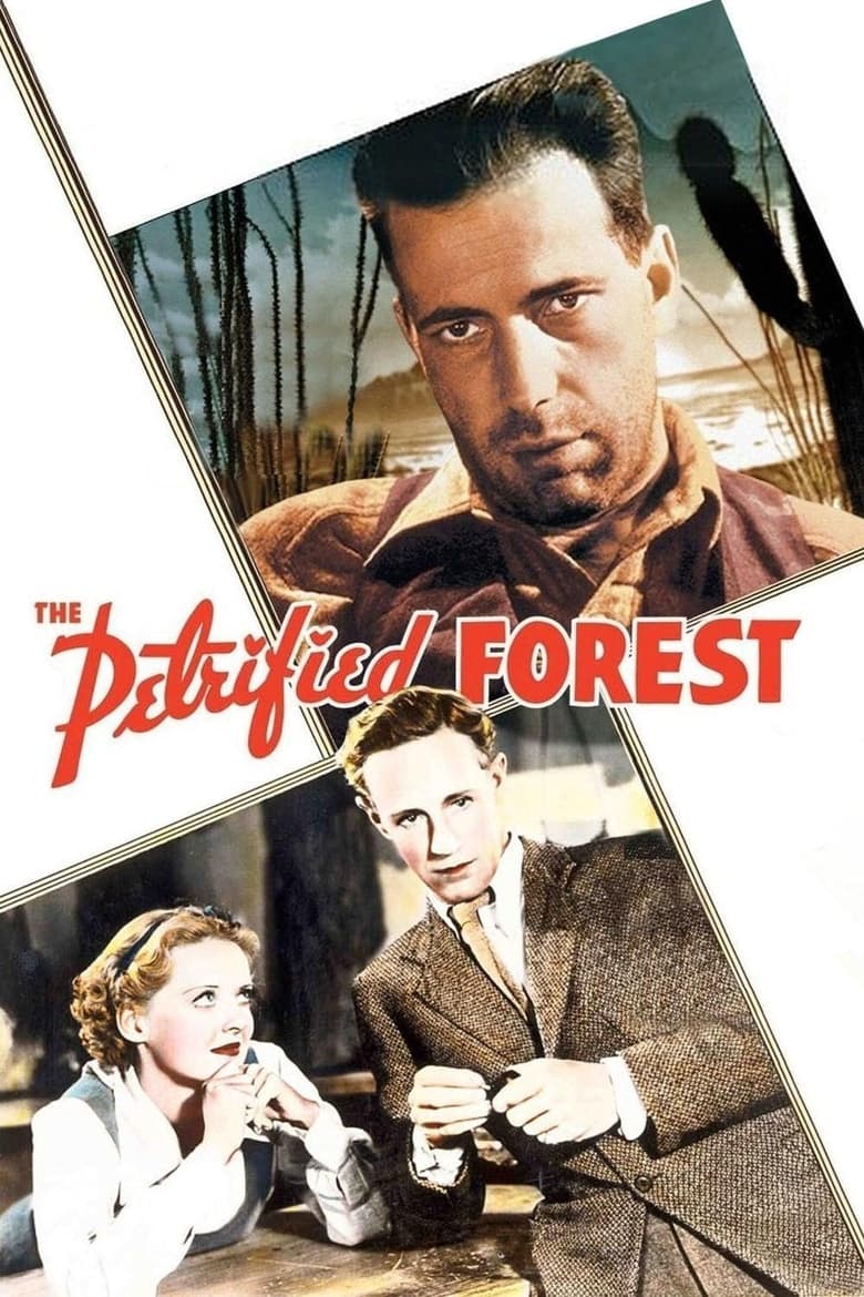 Poster of The Petrified Forest