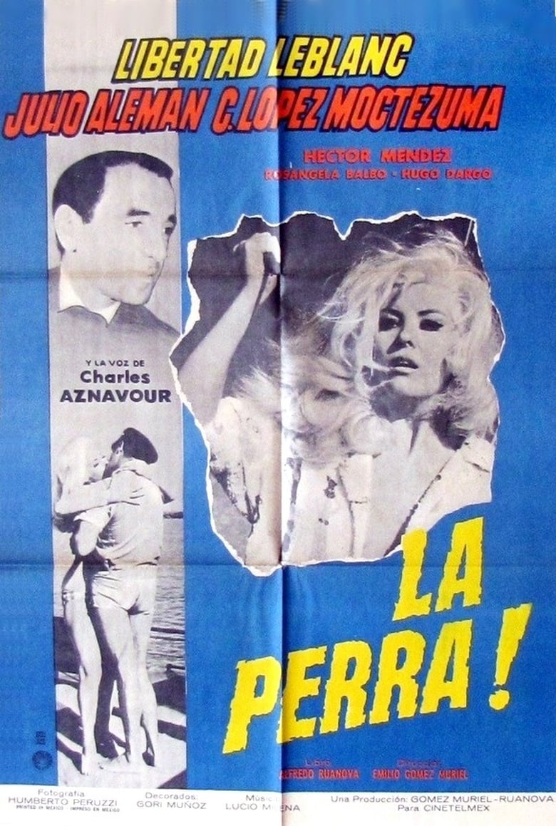 Poster of La perra