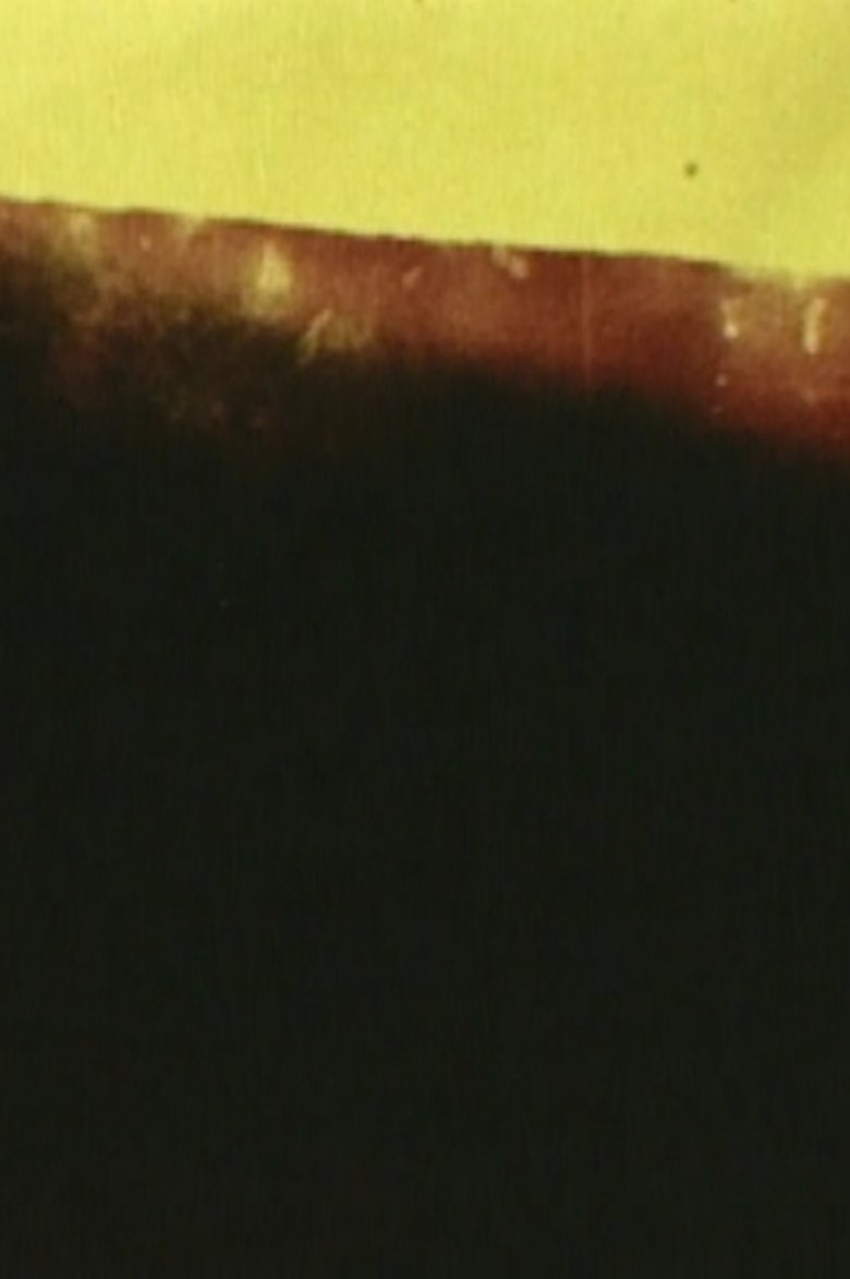 Poster of The Distance Between Here and There
