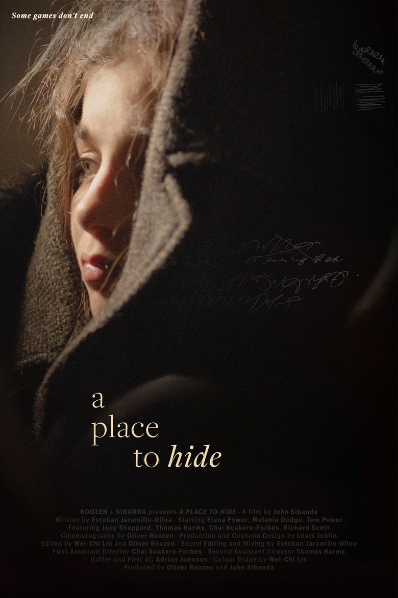 Poster of A Place to Hide