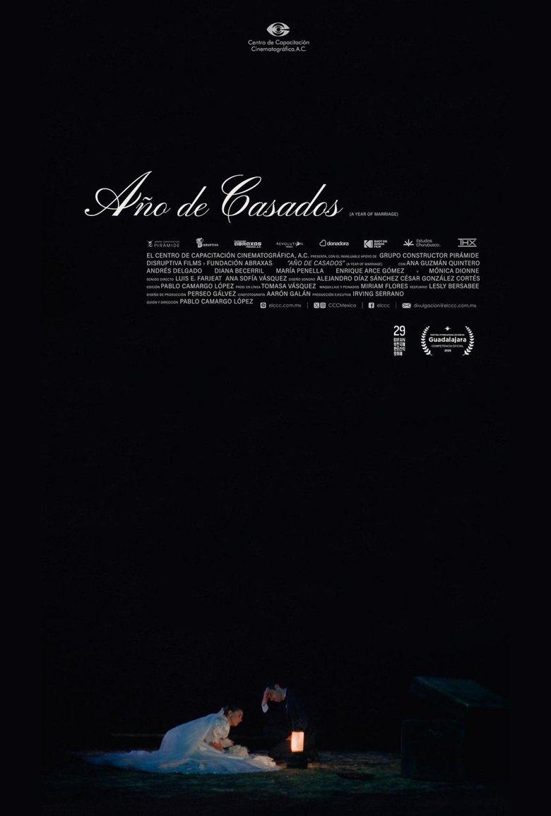 Poster of A Year of Marriage