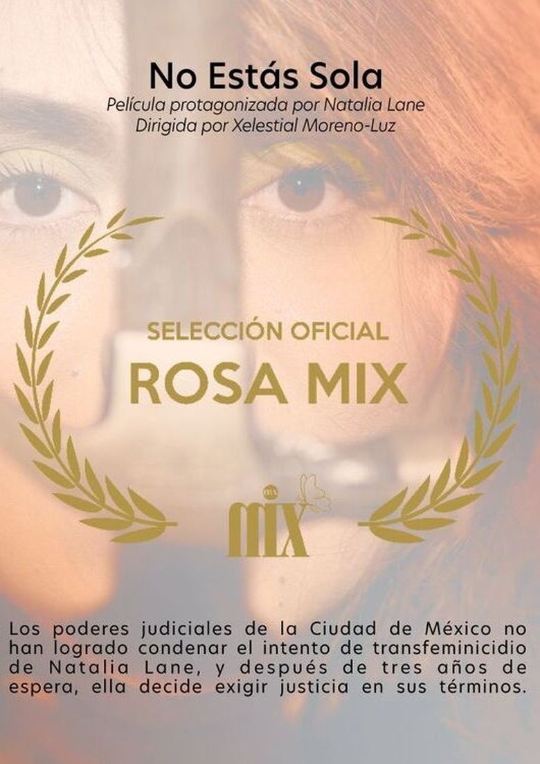 Poster of No estás sola