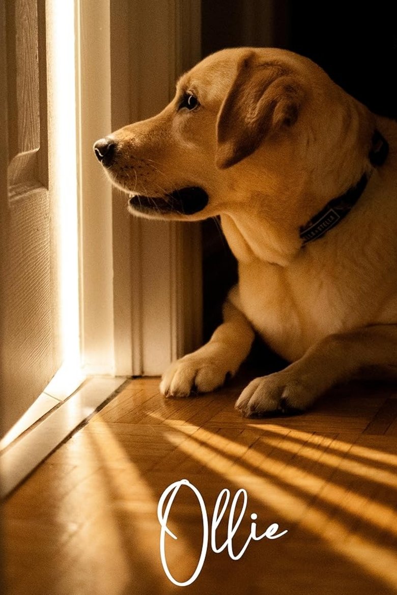 Poster of Ollie