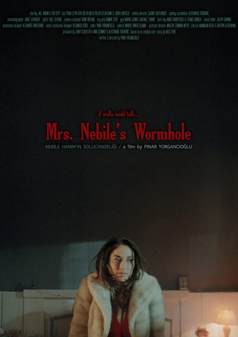 Poster of Nebile Hanım'ın Solucan Deliği