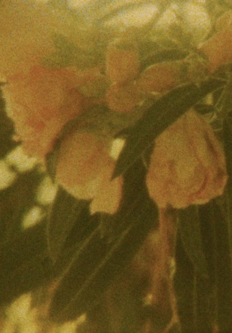 Poster of Seasons/Patterns