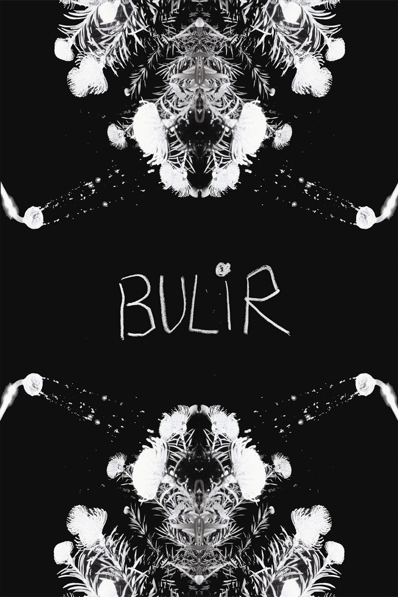 Poster of BULIR