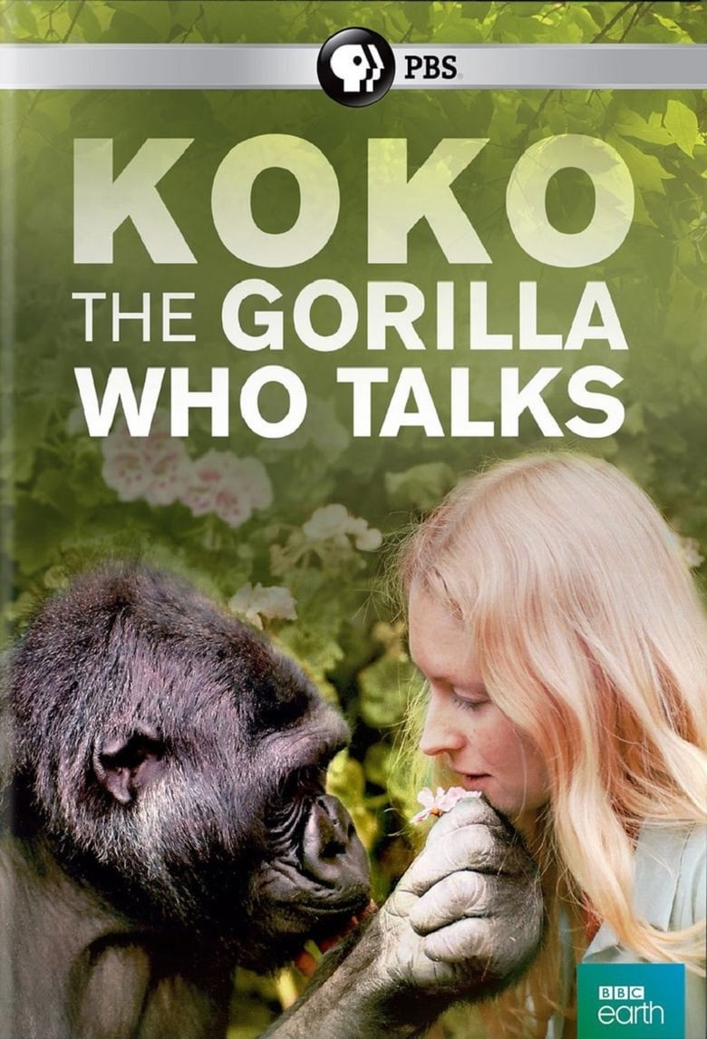 Poster of Koko: The Gorilla Who Talks to People