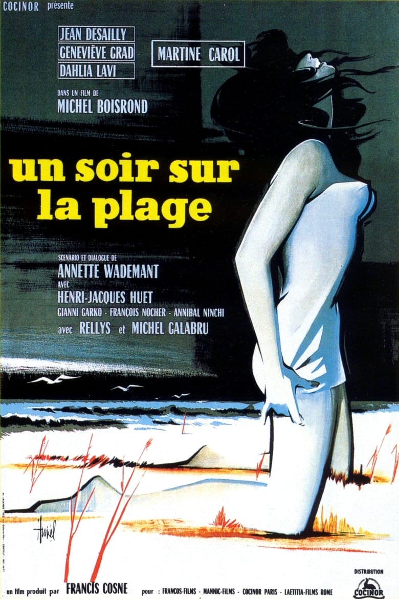 Poster of One Night at the Beach
