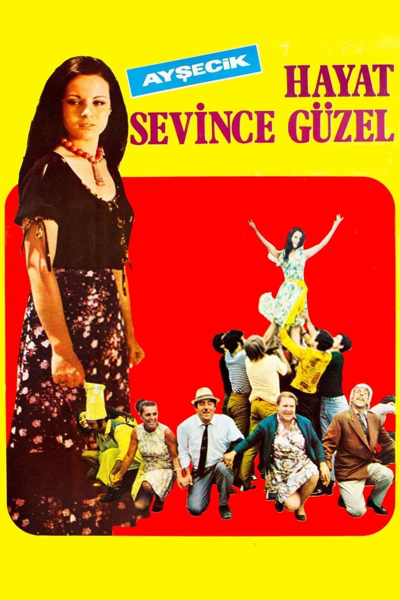 Poster of Hayat Sevince Güzel