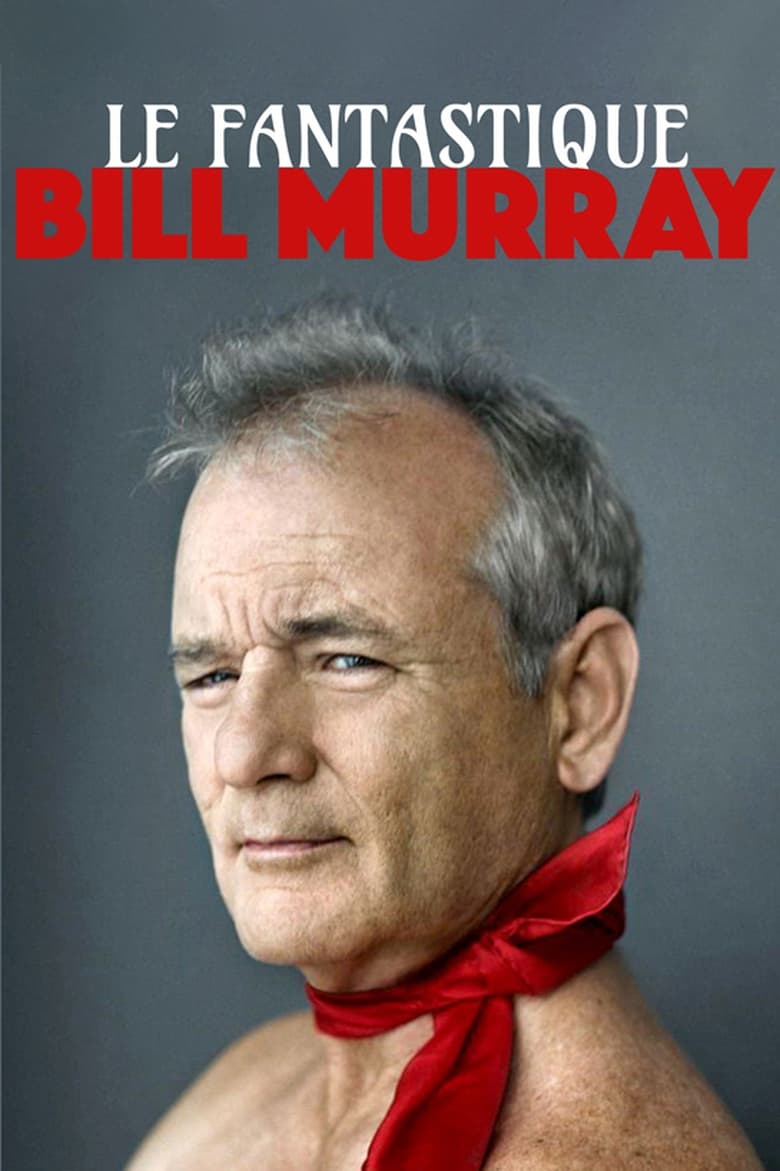 Poster of Fantastic Mr. Murray