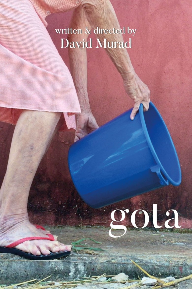 Poster of Gota