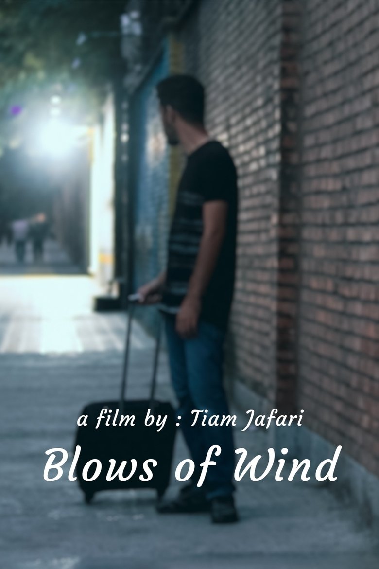 Poster of Blows of Wind