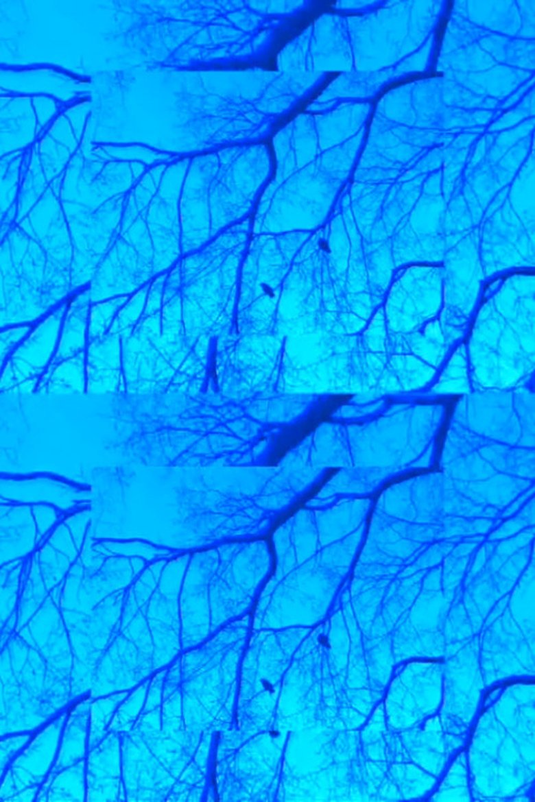 Poster of Crows and Branches