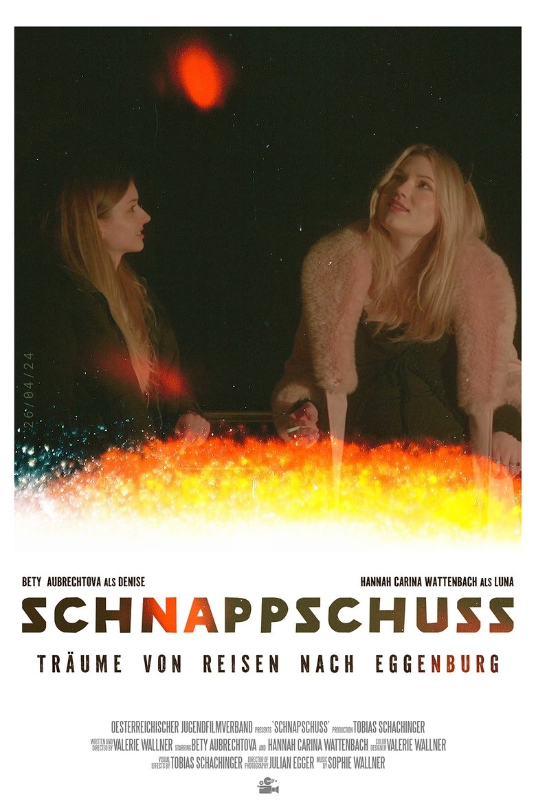Poster of Schnappschuss