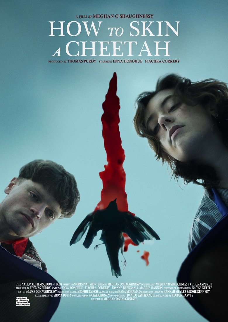 Poster of How to Skin a Cheetah