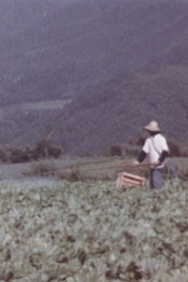 Poster of The Disaster of Pesticides