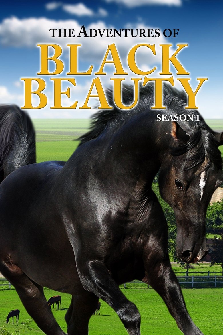 Poster of Episodes in The Adventures Of Black Beauty - Season 1 - Season 1