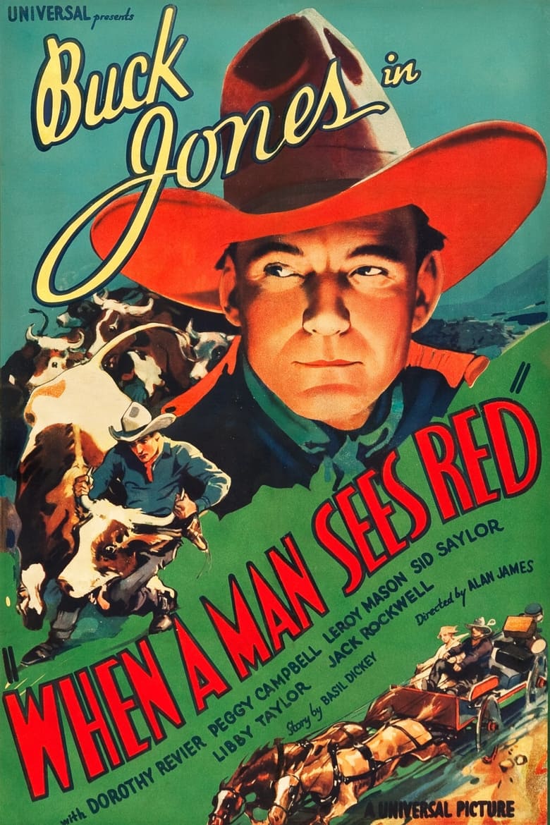 Poster of When a Man Sees Red