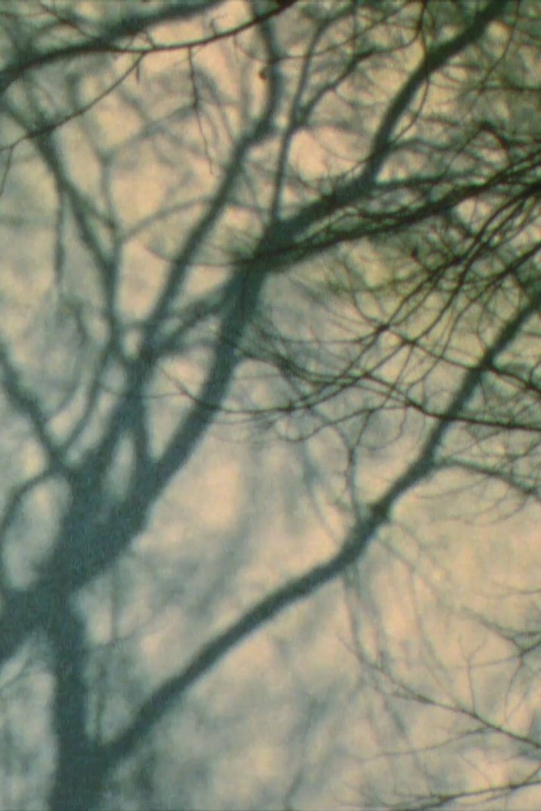 Poster of In a Tree’s Shadow II