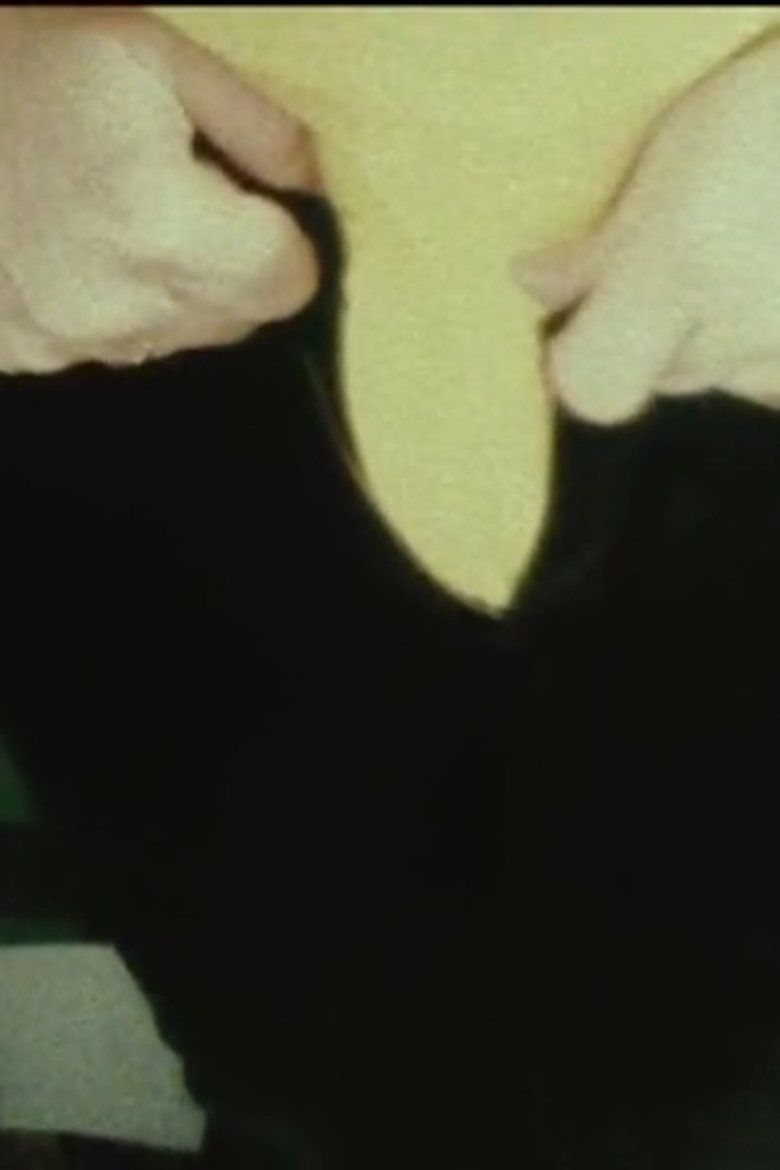 Poster of Five Year Diary, Reel 1: The Beginning Thanksgiving (November 3–December 13, 1981)