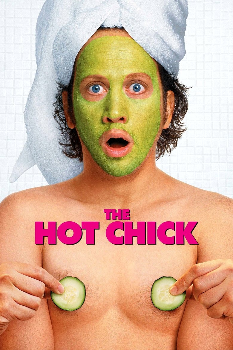 Poster of The Hot Chick