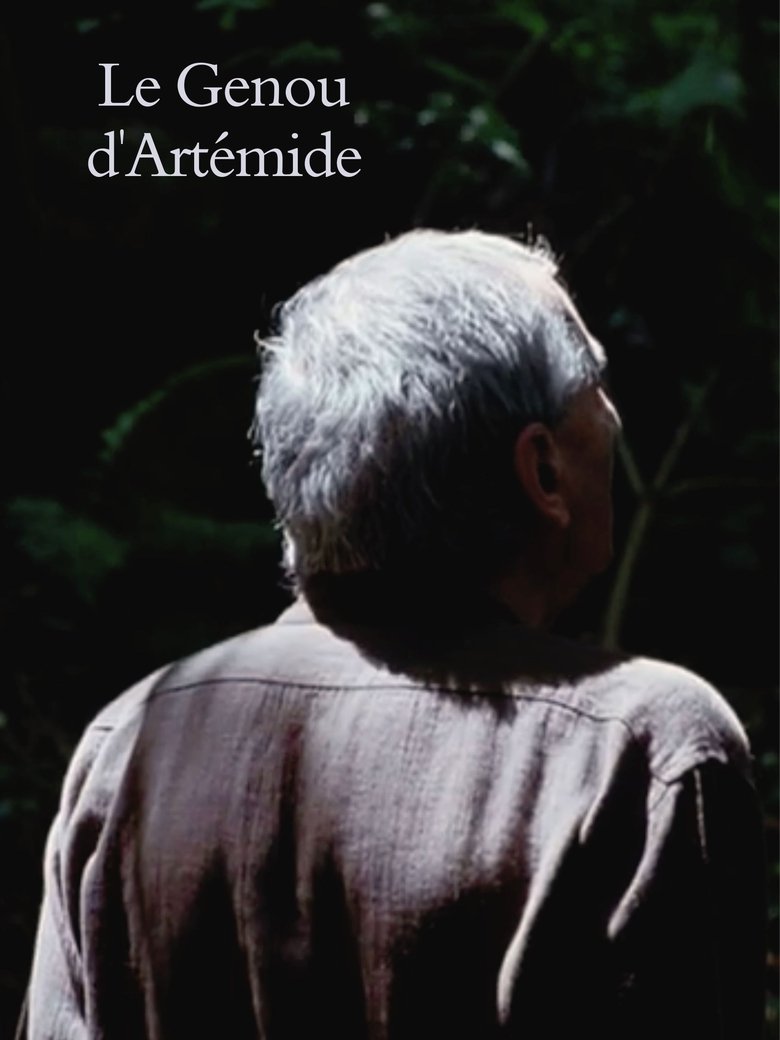 Poster of Artemide's Knee