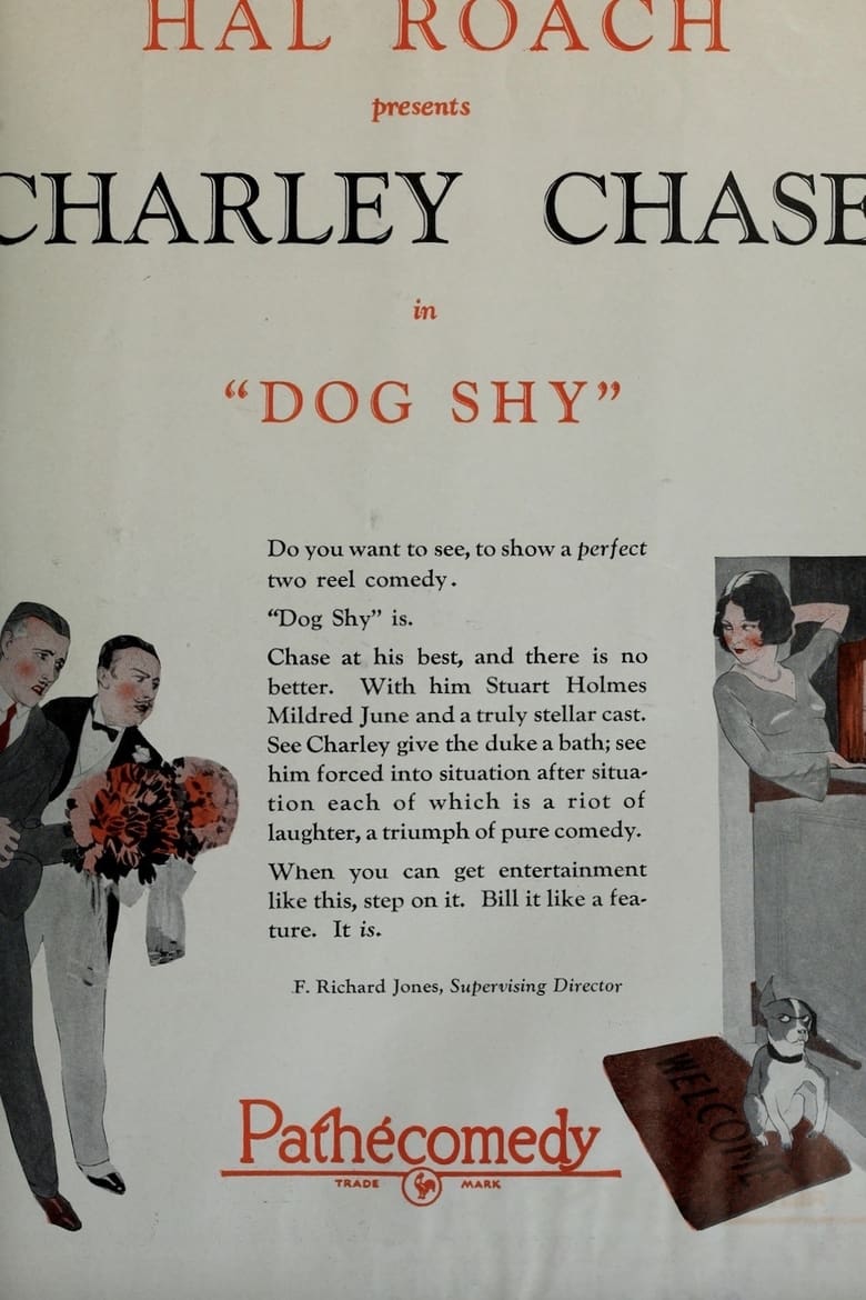 Poster of Dog Shy