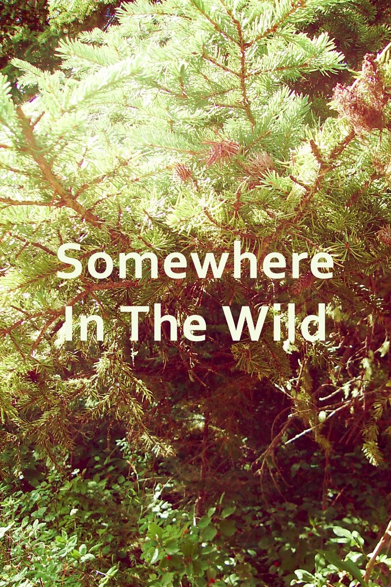 Poster of Somewhere in the Wild