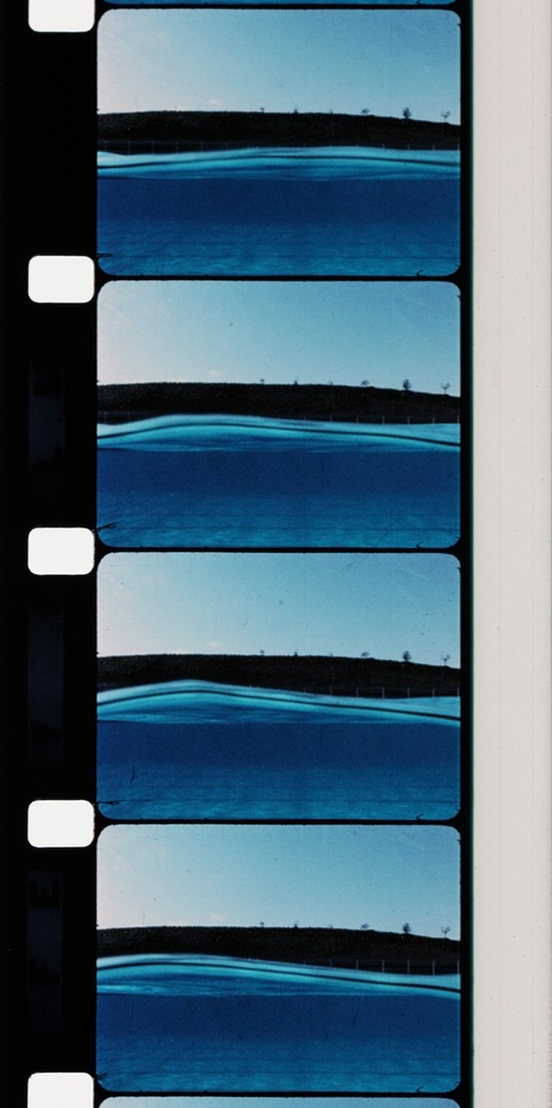 Poster of Group II: Water/Contemplating