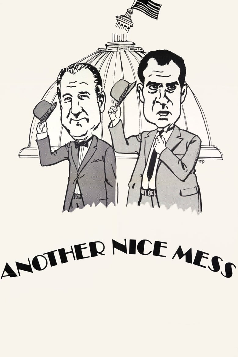 Poster of Another Nice Mess