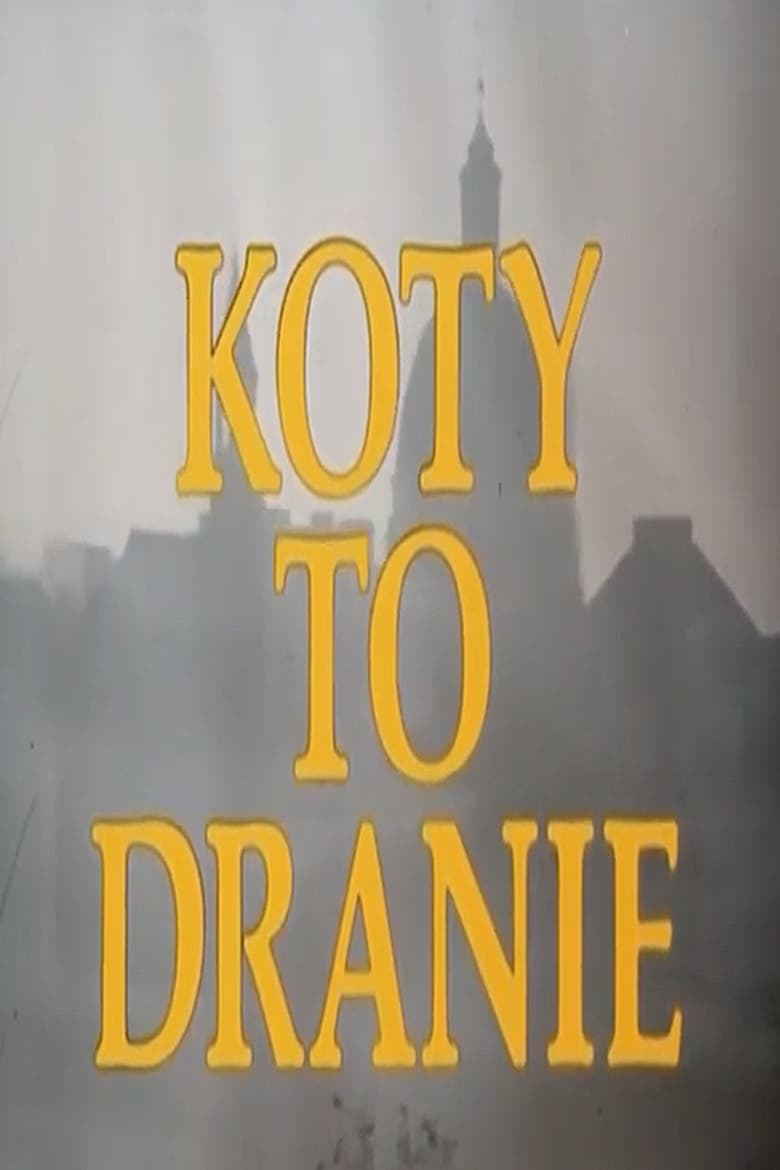 Poster of Koty to dranie