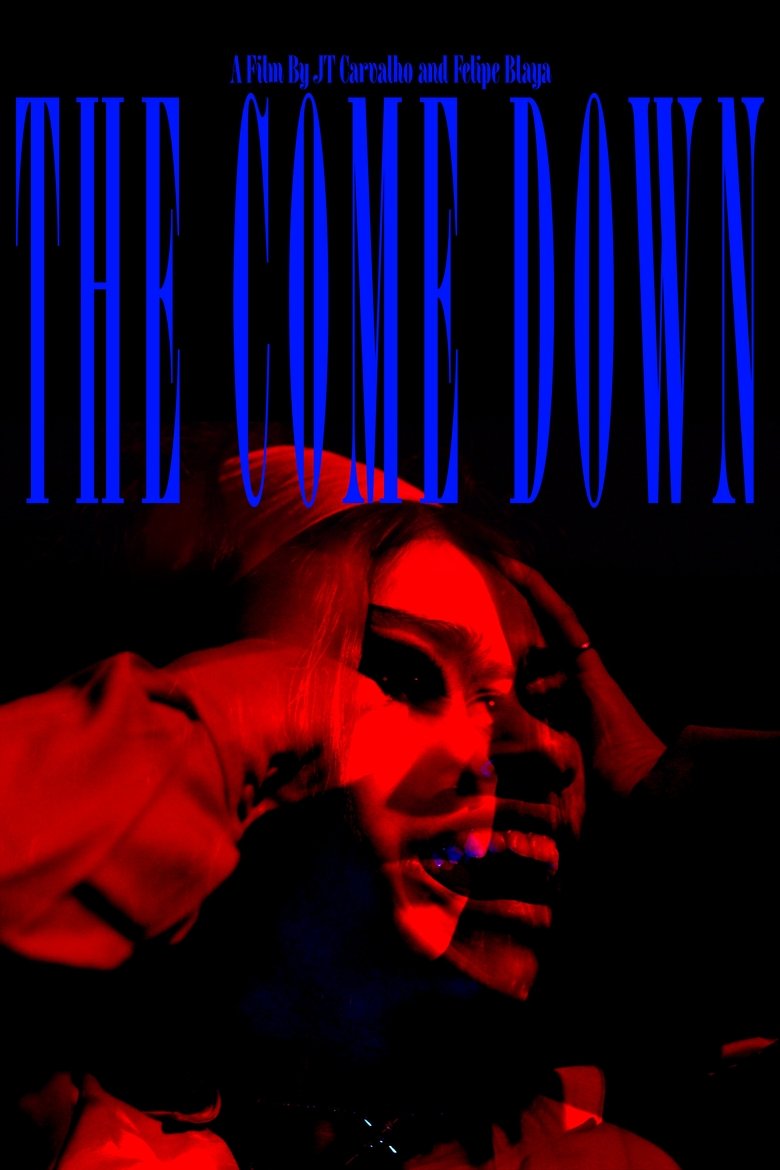 Poster of The Come Down
