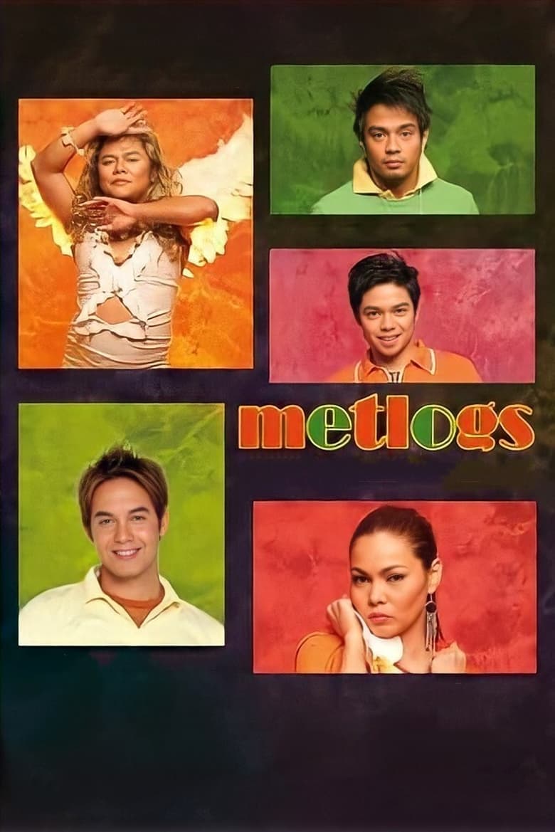 Poster of Metlogs (Metrosexual Adventures)