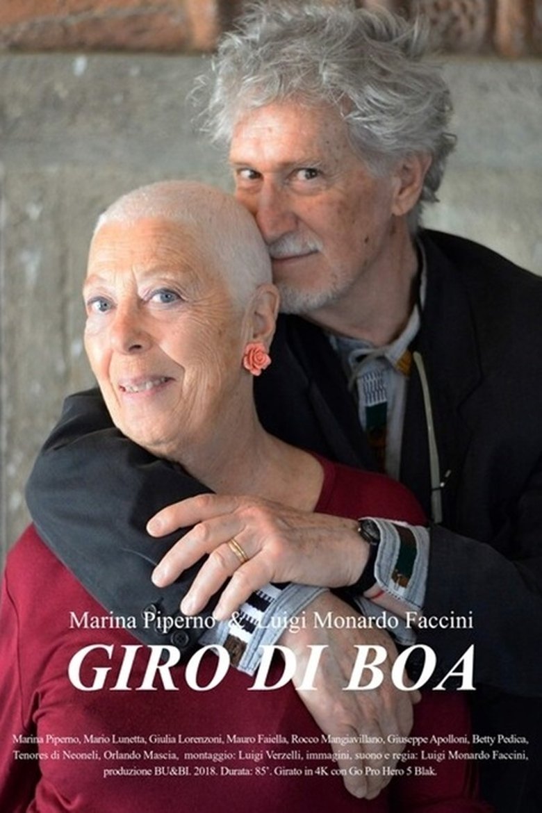 Poster of Giro di boa