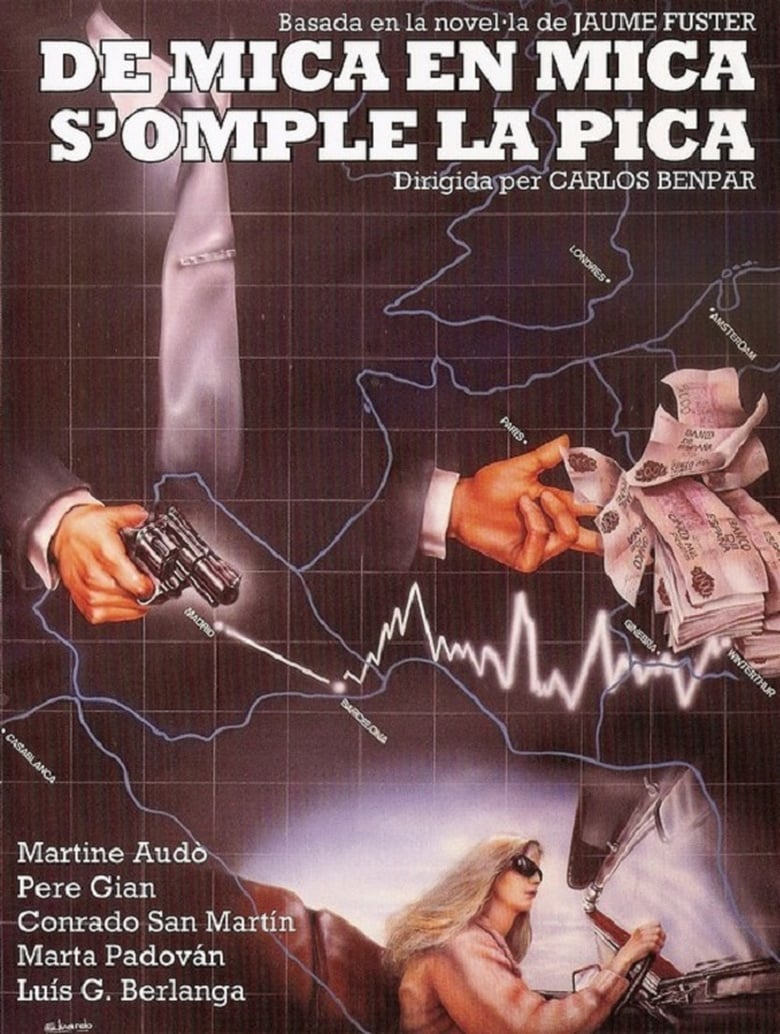 Poster of De mica en mica s'omple la pica