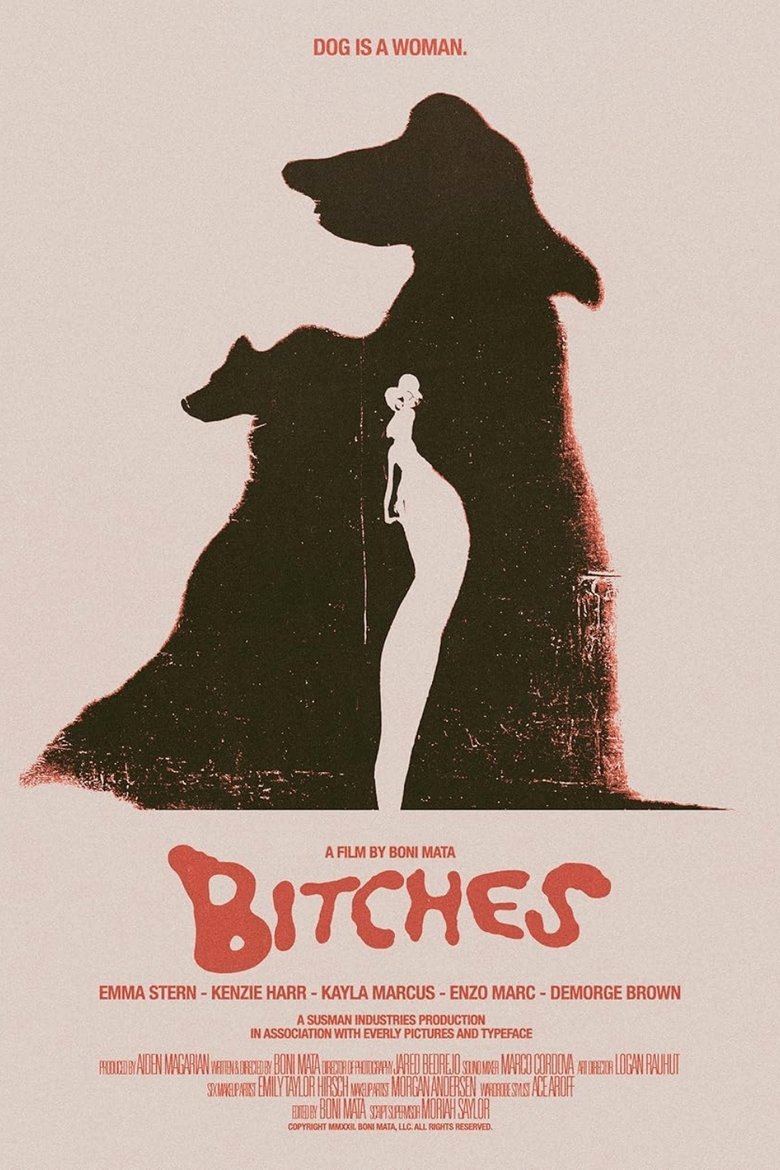Poster of Bitches