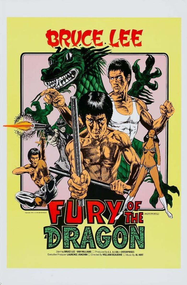 Poster of Fury of the Dragon