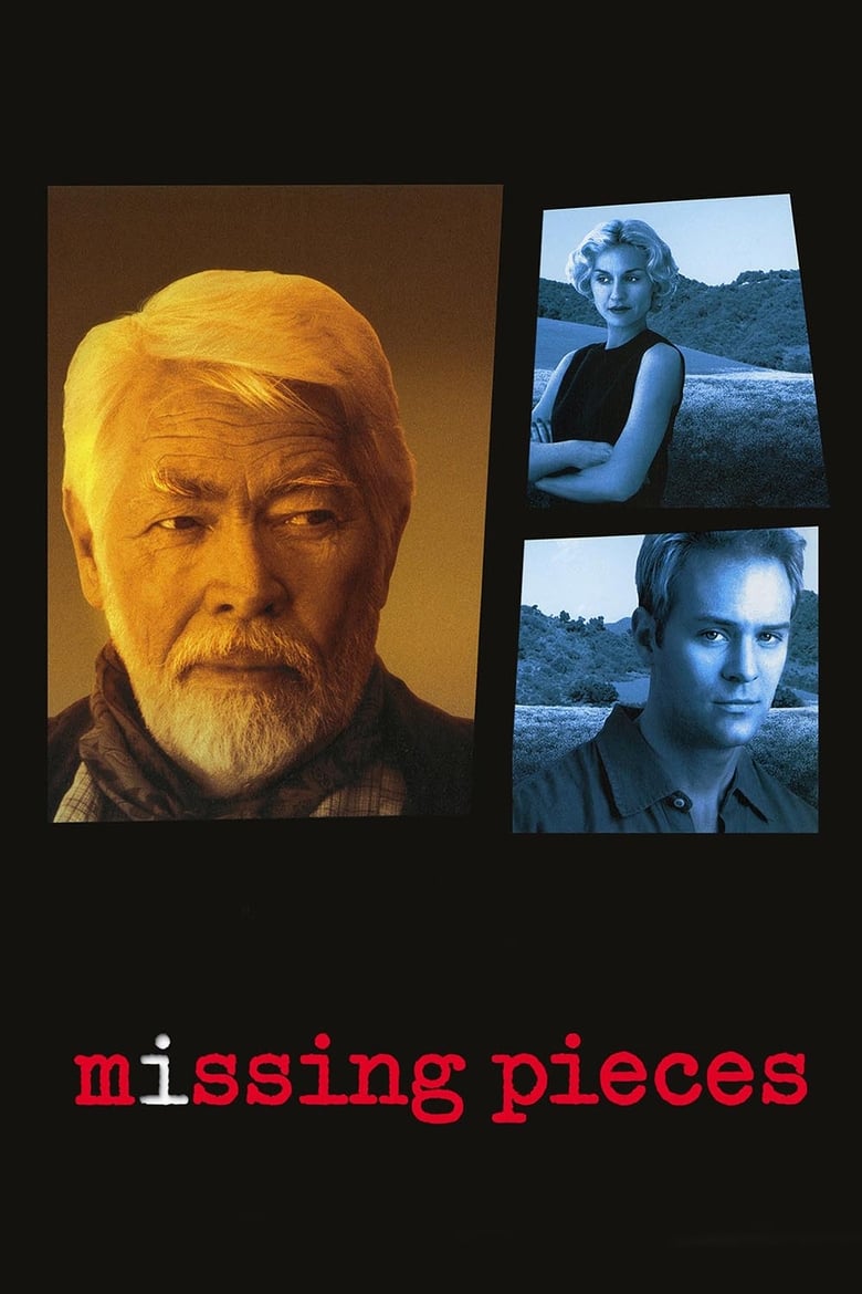 Poster of Missing Pieces