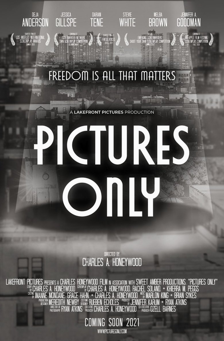Poster of Pictures Only