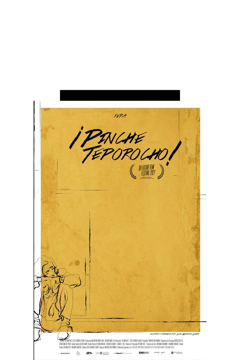 Poster of Pinche teporocho