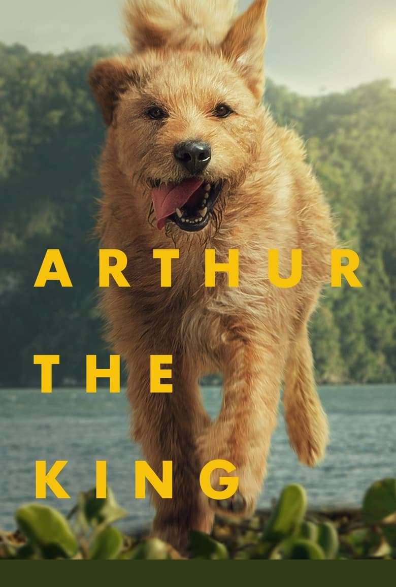 Poster of Arthur the King