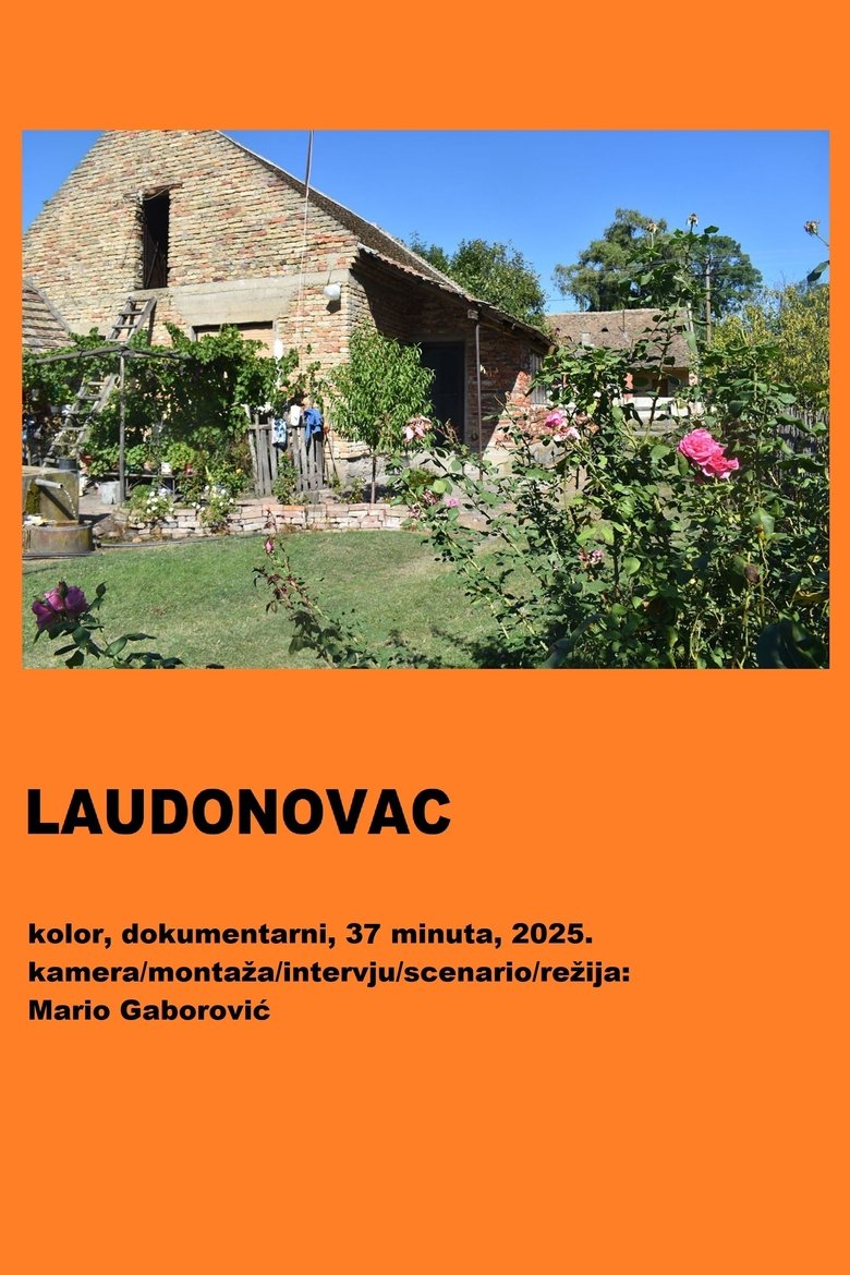Poster of Laudonovac