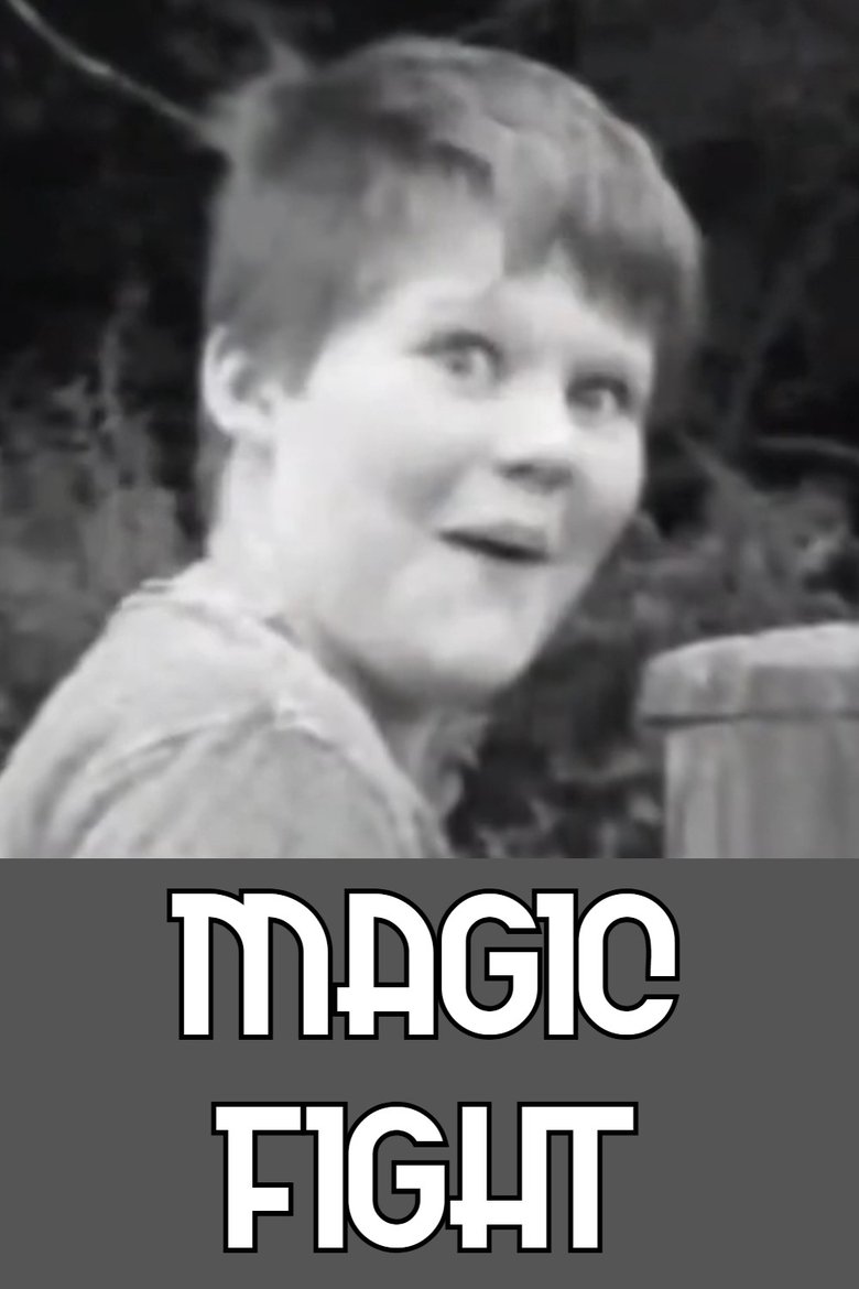 Poster of Magic Fight