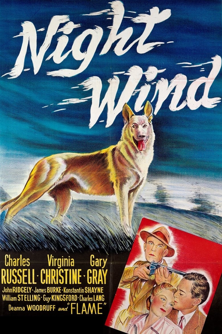 Poster of Night Wind